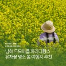 남해 두모마을 파라다랑스 유채꽃 명소 메밀꽃단지 아이랑 애견동반 여행 코스