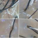 신진헤어샵 이미지