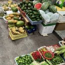 흐엉센(HUONG SEN) 이미지