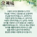 콩깍지 이미지