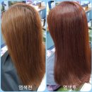 큐사랑염색 이미지