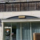 퍼피돌 | 삼송역 애견미용실 원흥 애견미용 &#39;퍼피돌&#39; : 말티푸 미용 2cm 스포팅 가위컷