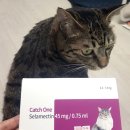 텐즈힐약국 이미지