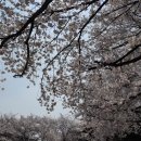 미득골 가든 이미지