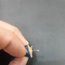 나라보청기상사 이미지