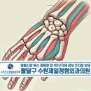 수원제일정형외과의원 | 수원역 정형외과, 수근관 증후군 증상과 치료! 손 저림 원인부터 예방법까지