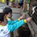 고양낙농체험장 이미지