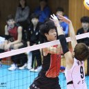 서귀포시동홍생활체육관 이미지