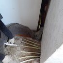 신동아파트 이미지