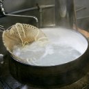 [일본맛집]사누키우동 본고장 가가와현에 가다(1) 이미지