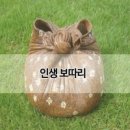 보따리