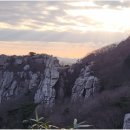 수출대로-4 이미지