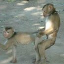 태도보건진료소 이미지