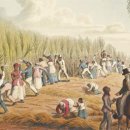 영무농장 이미지