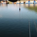 대석낚시터(대석저수지) 이미지