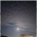 꽃지늘봄펜션 이미지