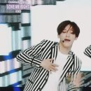 코코언니 이미지