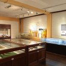 경북대학교자연사박물관 이미지