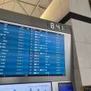 별의별 찜닭 | [대만] 가오슝 '에바항공(EVA Air)' 후기 | 기내식이 나오는 대만 대표 항공사
