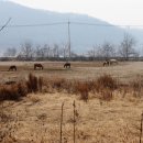 파평면사무소 앞 이미지