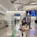 쓰리알오 | 26년 1월 겨울 도쿄여행 4박5일 1일차 기록 (휠체어를 곁들인...)