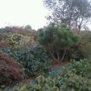 사곡리농장 이미지