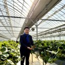 노와1리마을회관 이미지