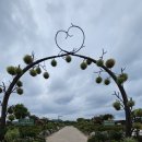 갯골생태공원(인포센터) 이미지