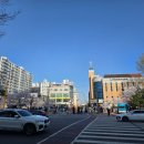 계양경기장 주경기장 | 인천 벚꽃 명소 계양꽃마루 서부간선수로 벚꽃 | 주차 꿀팁 &amp; 사람 없는 비밀 장소!!