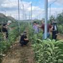 전정금농장 이미지