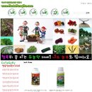 동부팜마트