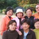 연포에 모인 31회(2004.10.10) 이미지