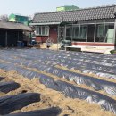 금가면사무소 이미지