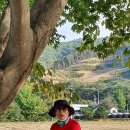 수아농장 이미지