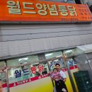 수아월드 | 부산 장림맛집 "월드양념통닭" 후라이드·양념 반반으로 즐기는 치맥 타임