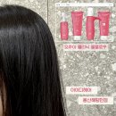 용산미용실 아이디헤어 용산해링턴점 | 미유 스타일리스트 오주아 필멜로우 클리닉 후기