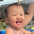 샤론2농장 이미지