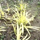 고향농장 이미지