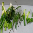 꽃꽂이 중급 이미지