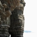 고성공룡박물관야영장 이미지