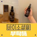 법인풀내음밤나무숲