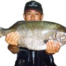 강정동-21 이미지