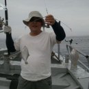 영일1호 이미지