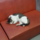 현대카클리닉 이미지