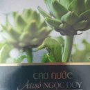 아이언짐 이미지