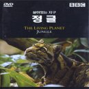 17정글