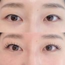 남구-55 | 경성대속눈썹연장 잘하는곳, 부산 남구 누니크 래쉬 LED연장 후기