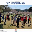 숲에서자라는아이들 이미지