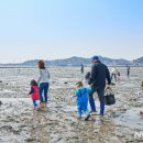 수산어촌체험휴양마을 이미지