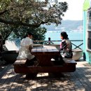 등나무집민박 이미지